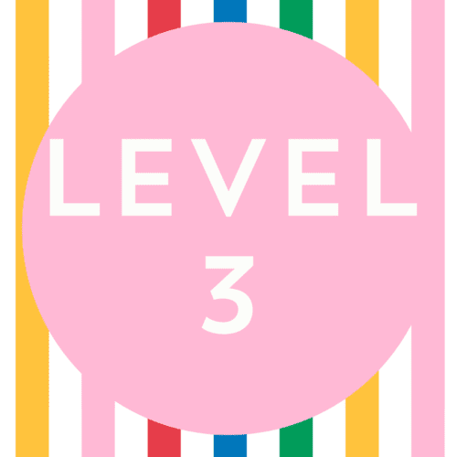 *Level 3